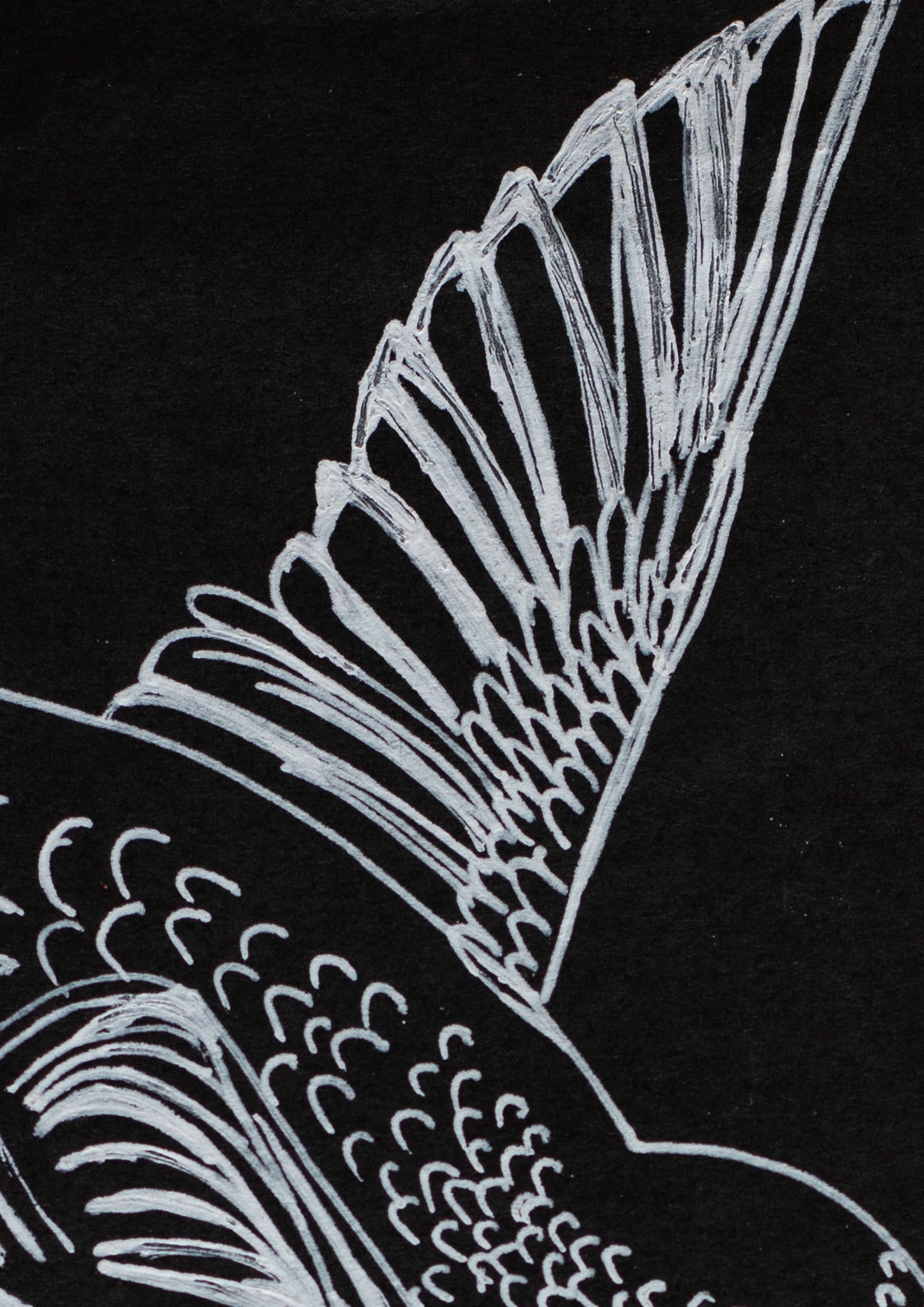 Hummingbird in Light