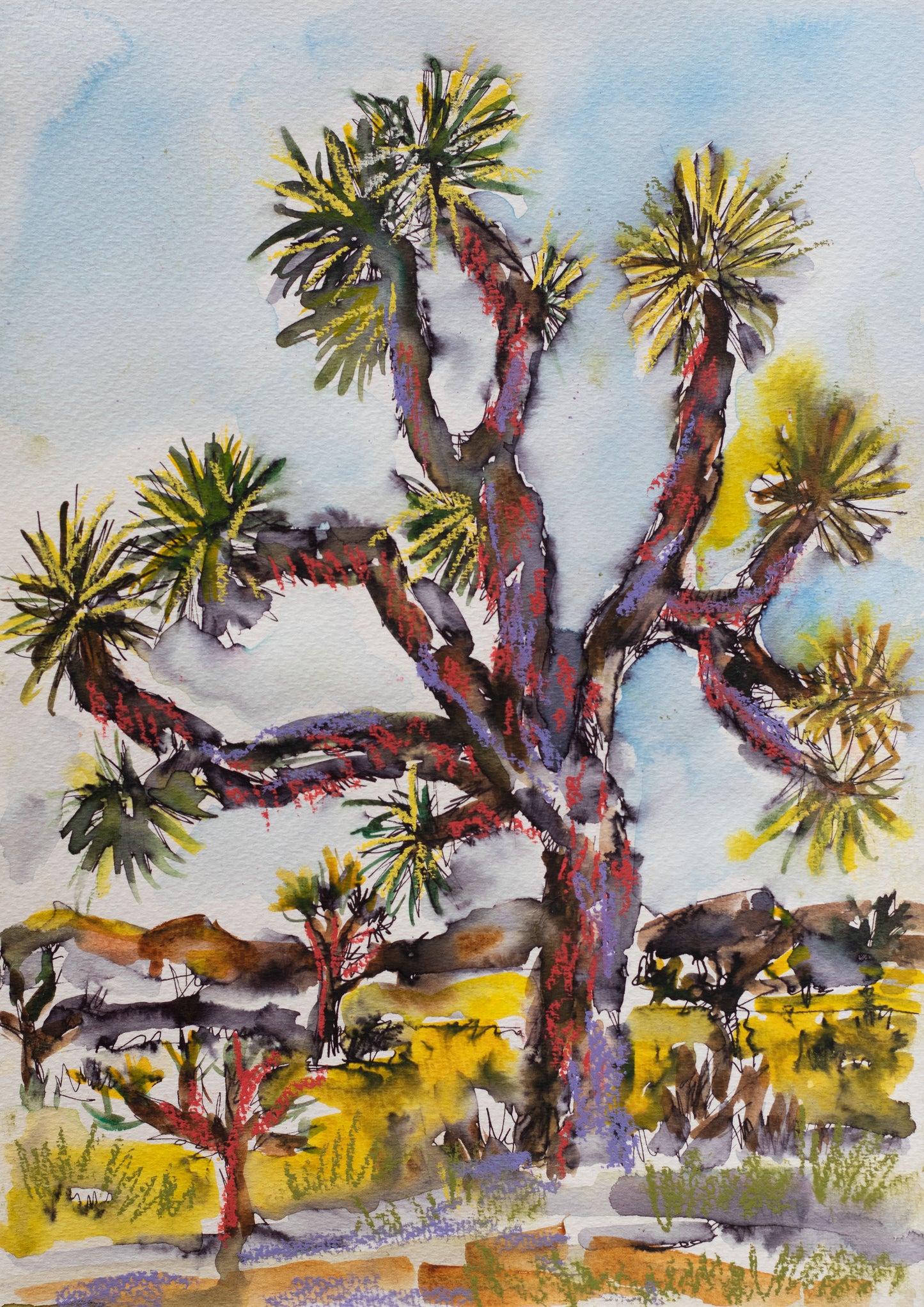 Spirit of the Joshua Tree