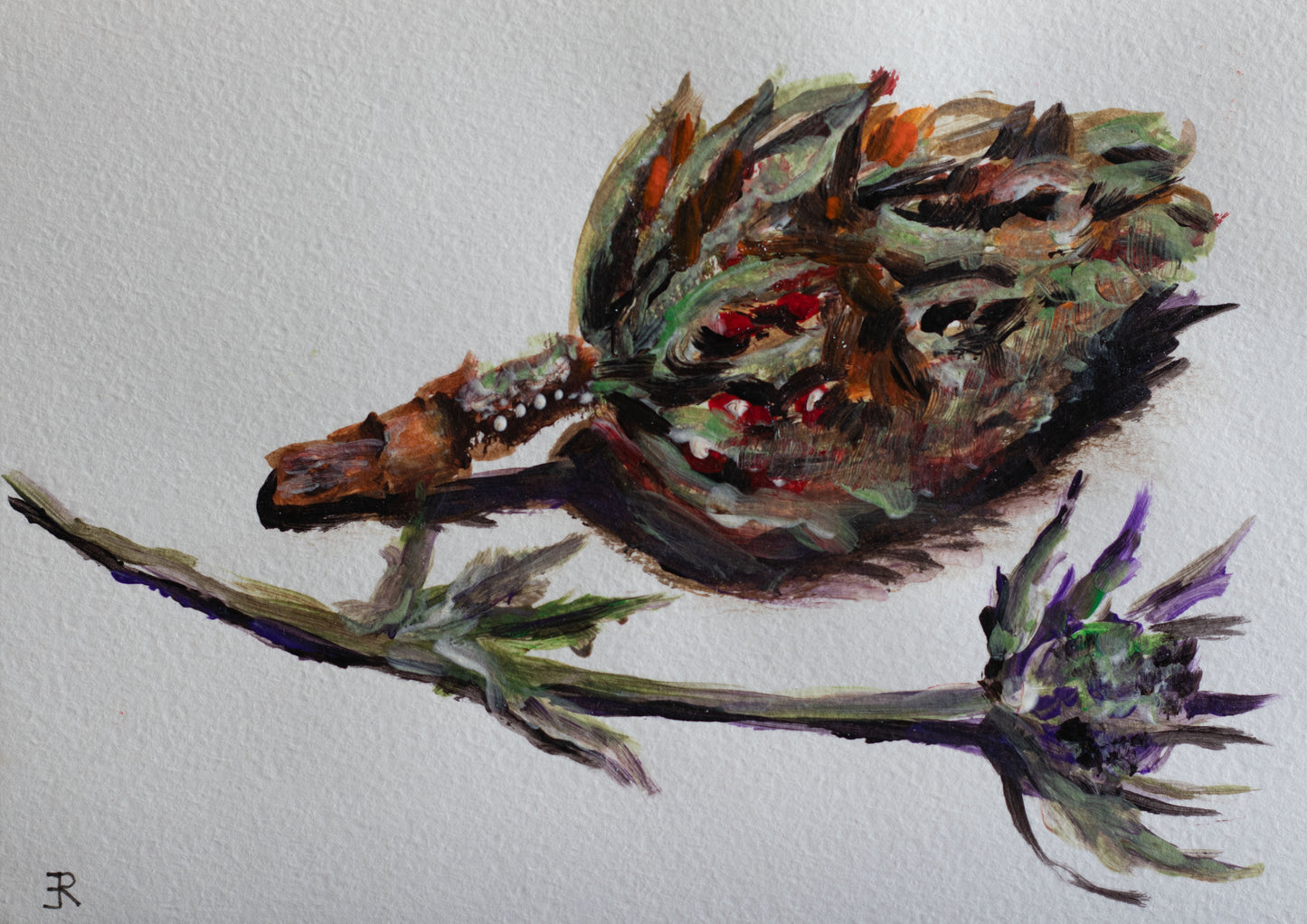 Echoes of the Forest