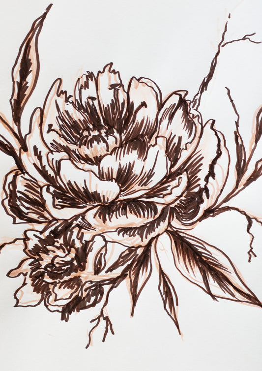Peony in Ink