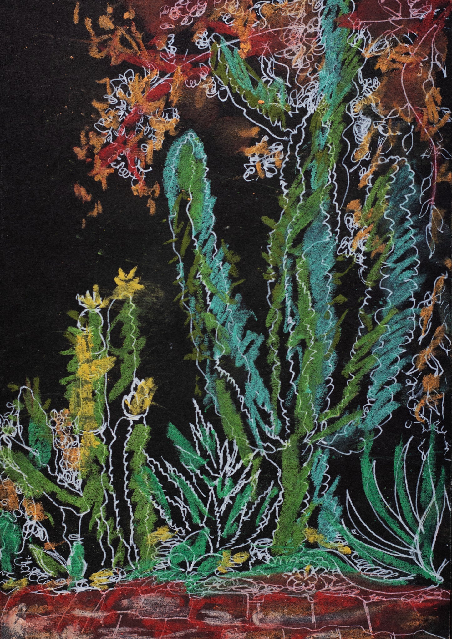 Cactus Garden at Night