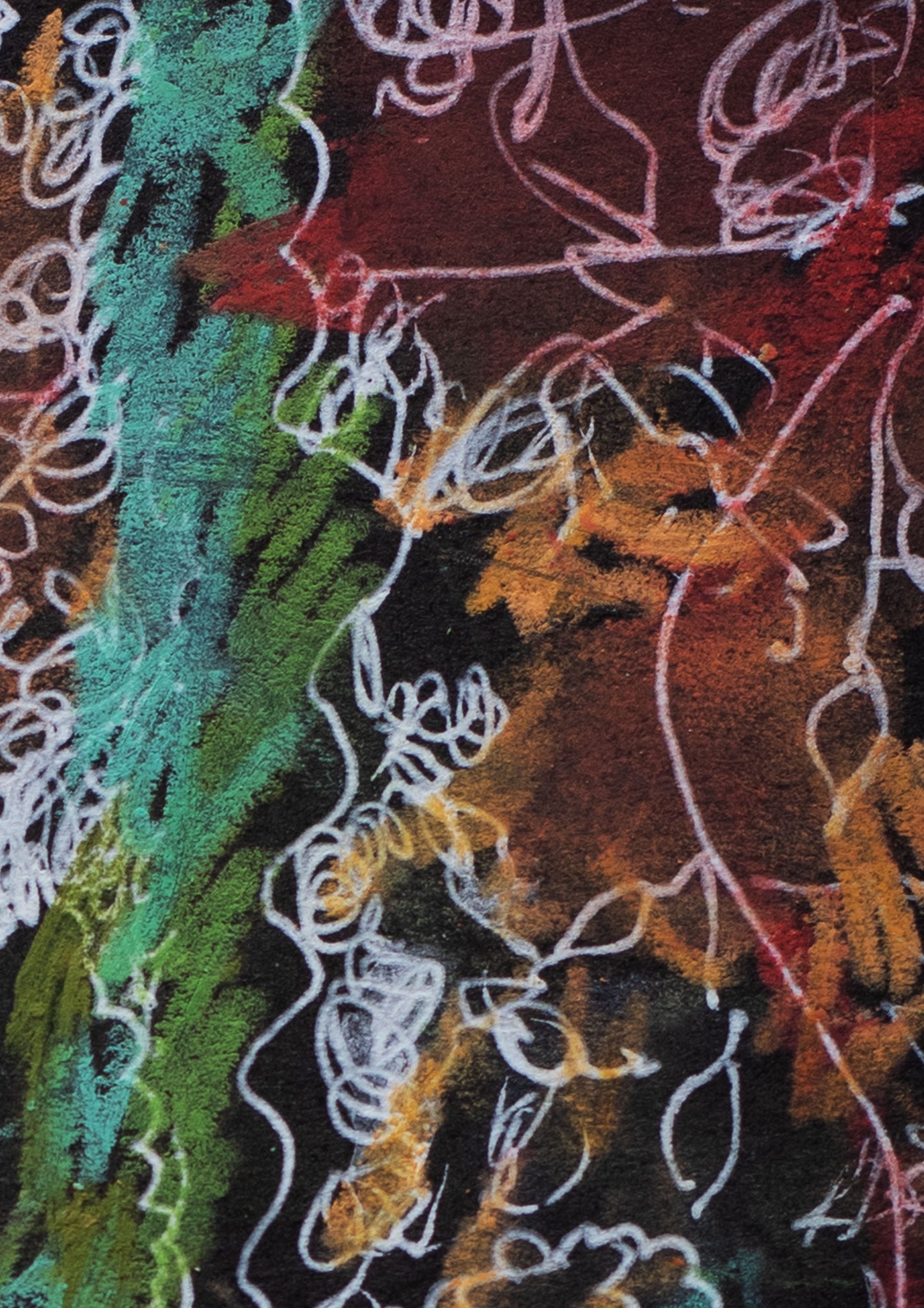 Cactus Garden at Night