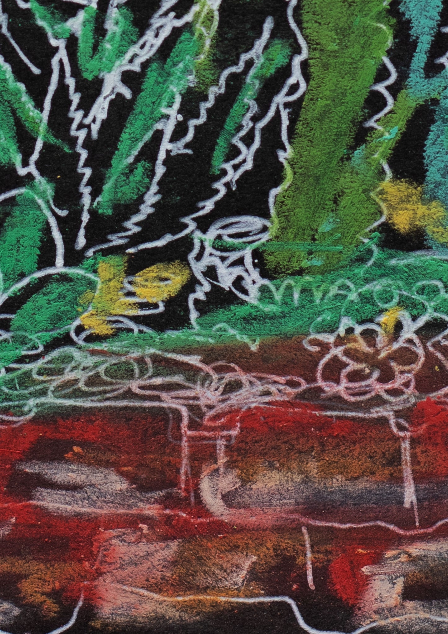 Cactus Garden at Night