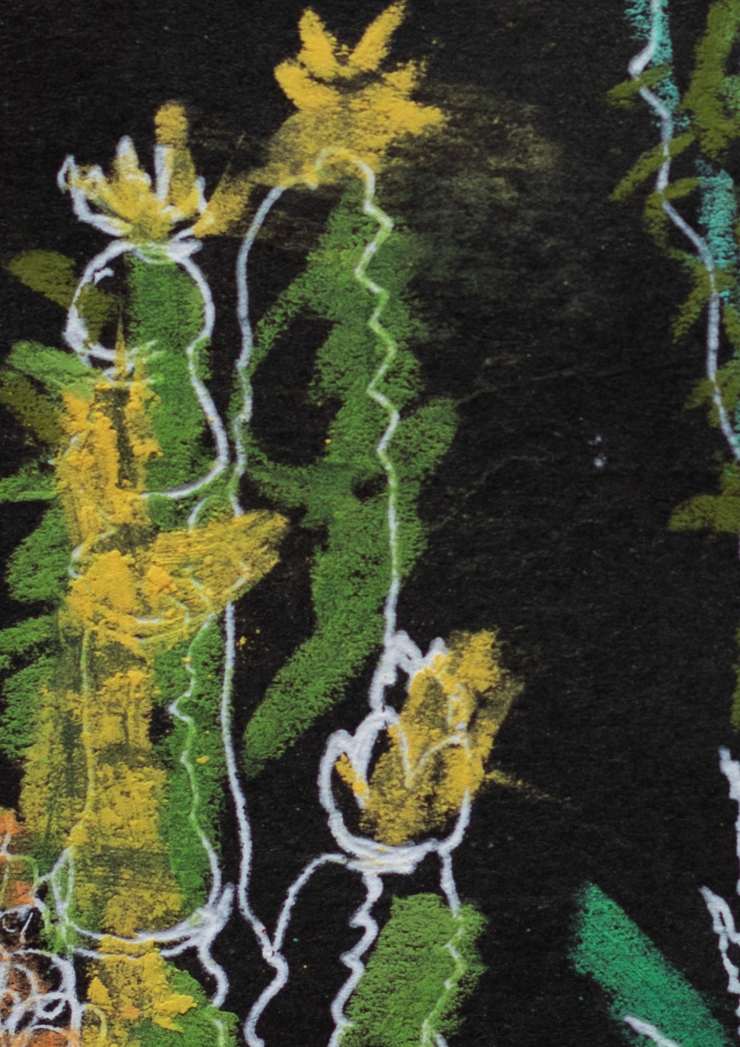 Cactus Garden at Night