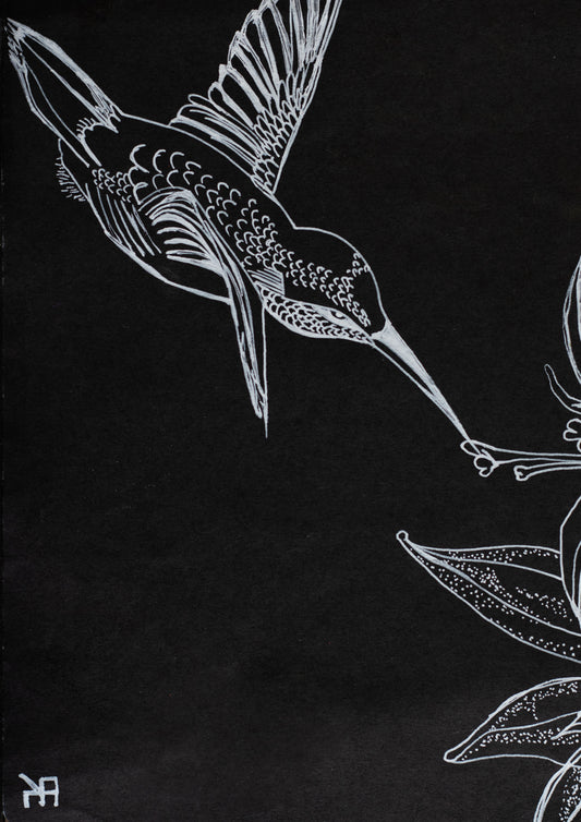 Hummingbird in Light