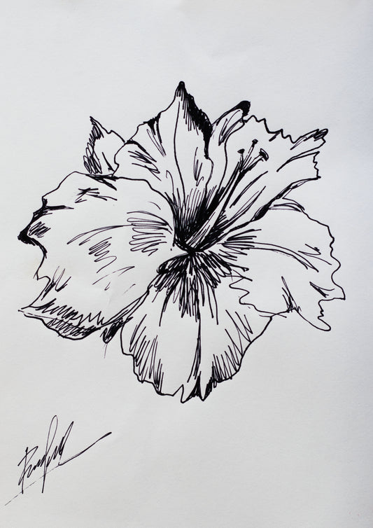 Hibiscus in Ink